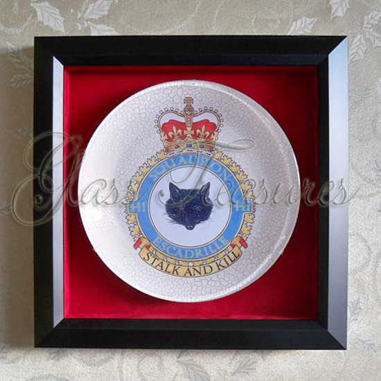 441 Squadron