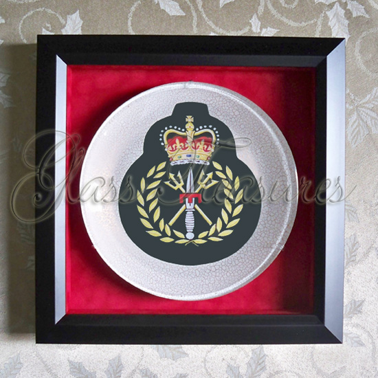 Combat Divers Crest