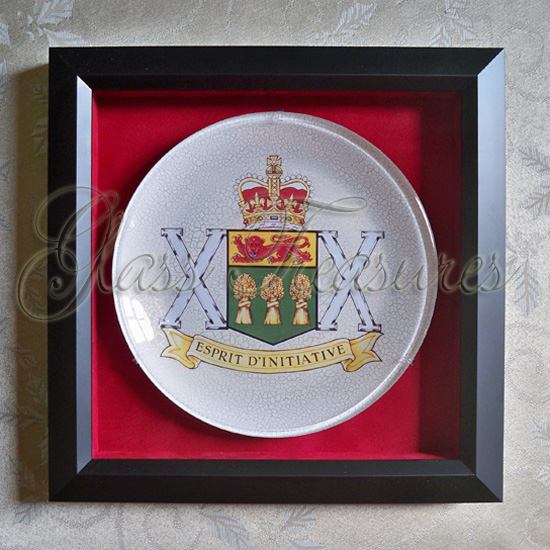 The Saskatchewan Dragoons