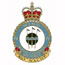 4 Wing Badge