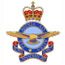 Royal Canadian Air Force Badge
